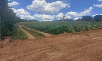 Imagem 4: O07 lotes de 450m2