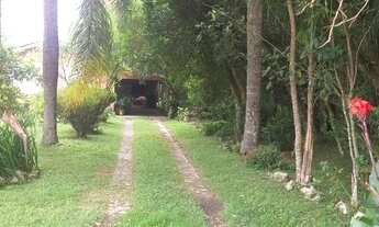 Imagem 4: Excelente Chacara com 1.600 m2 com casa 370,000 Campestre faxina