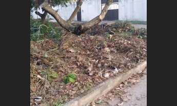 Imagem 5: Loteamento - Escriturado - Praia - B. de Jacuípe / Guarajuba