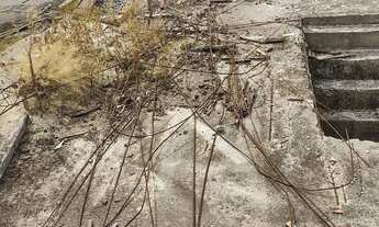 Imagem 3: Terreno Terreno / lote com venda por R$110.000