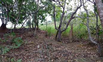 Imagem 4: Chácara/Terreno em Cariacica 4100m² Oportunidade