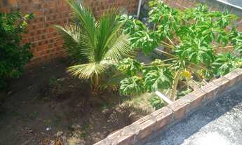 Imagem 4: Terreno murado com casa para finalizar