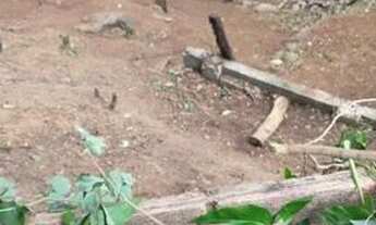 Imagem 3: Lote / Terreno à venda em Vitória