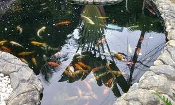 Imagem 3: Apartamento para aluguel no Condomínio Asa