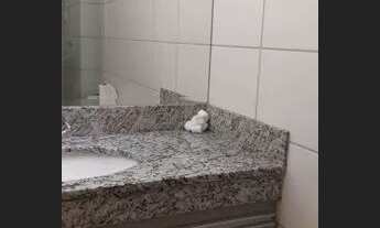 Imagem 6: Aluguel Apartamento com 2 dormitórios