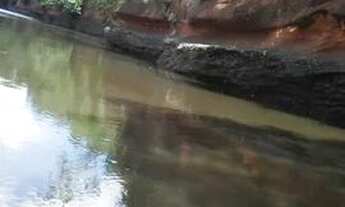 Imagem 5: Fazenda 800 hectares