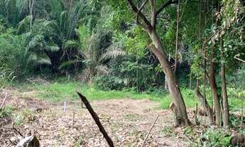 Imagem 6: Lindo terreno em Aldeia