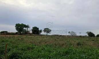 Imagem 3: Terreno Área em Pedranópolis