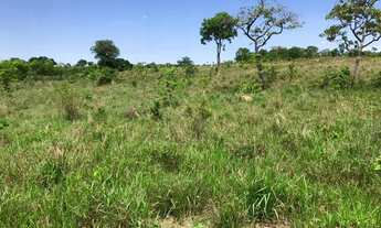 Imagem: Fazenda 50 alqueires Porangatu Goiás