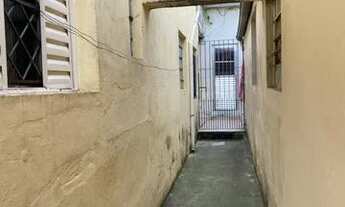 Imagem 3: Térrea para aluguel tem 60 metros quadrados com 1 quarto em Vila Antonieta - São Paulo - S