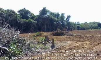 Imagem 4: Vendo sitio na região de manacapuru Amazonas