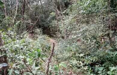 Imagem 3: Terreno 65.000m², as margens do Rio das Velhas, Jaboticatubas