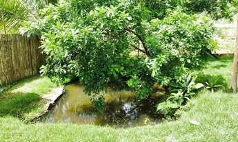 Imagem 5: Chácara zona rural Guarapari -Jaboti