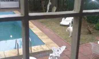 Imagem 5: CASA TÉRREA - VILA VALPARAÍSO - SP