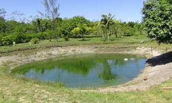 Imagem: Oportunidade única terreno 10.000 m² em