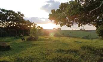 Imagem 5: Chácara à Venda