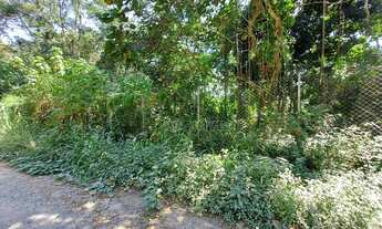 Imagem 2: Área de terreno para implantação de condomínio!!!