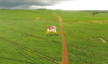Imagem 2: Fazenda para Venda, Região produtora consolidada