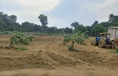 Imagem 2: Vendo sitio na região de manacapuru Amazonas