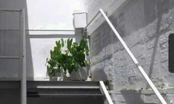 Imagem 5: Casa para aluguel e venda tem 230 metros quadrados com 8 quartos em Boa Viagem - Recife