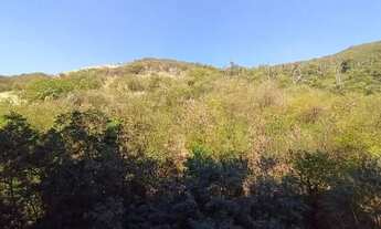 Imagem 7: Apartamento, 2 quartos, 1 banheiro, cozinha com armários, sala com 2 ventiladores de teto