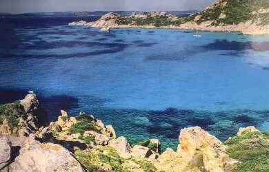 Imagem 3: Aluguel Direto Proprietário 1 Dorm. Semi-mobil. na Glória