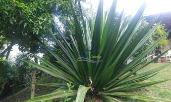 Imagem 2: GRANJA VIANA - GRANJA VIANA II GLEBAS 4 E 5