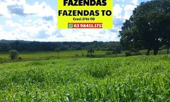 Imagem 3: Fazenda 30 alqueires região de Goianorte