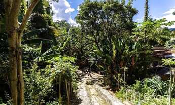 Imagem 2: SãO PAULO - Terreno Padrão - Horto Florestal