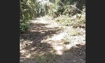 Imagem 3: VENDE SE UM TERRENO ACEITO PROPOSTA