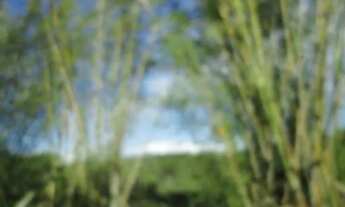 Imagem 4: Fazenda 800 hectares