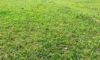 Imagem 2: Vc- ATENÇÃO: VENDO TERRENO COM NEGOCIAÇÃO FACILITADA !!!