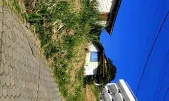 Imagem: VENDO TERRENO