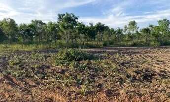 Imagem 6: Fazenda novo acordo Tocantins