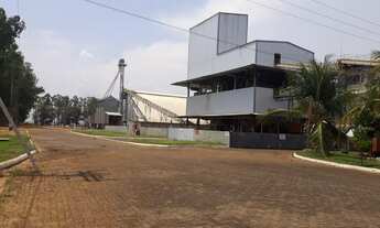 Imagem 4: Fazenda 27.727 hect nova motum MT. 11.700 mil hrc. abertos 1.7 bilhões