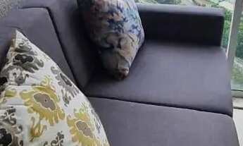 Imagem 7: Ótimo apartamento edifício metropolitan torre Sidney para locação no setor Jardim Goiás, e