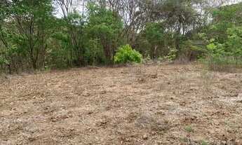 Imagem 2: VENDE-SE CHACARA