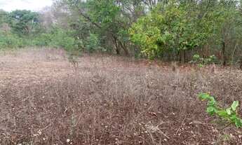 Imagem 5: VENDE-SE CHACARA