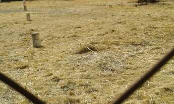 Imagem 2: Comercial Ponto Comercial em Ribeirão Preto