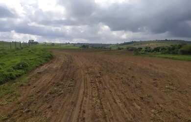 Imagem 3: FAZENDA EM CASSIA DOS COQUEIROS 53 ALQUEIRES 7.950.000.00