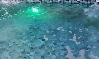 Imagem 5: Casa Sobrado - Jardins Bolonha