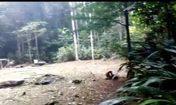 Imagem 7: Terreno na PISTA da BR174 no KM 108. 1.060.000m2. Benfeitoria e Projeto Turístico. Área d