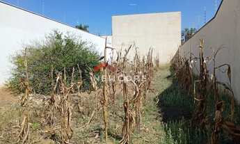 Imagem 7: Lote em Rua Particular - Jardim São Paulo - Rio Claro/SP