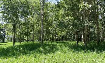 Imagem 7: Chácara à venda no bairro Rural em Caturaí/GO