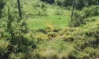 Imagem 6: Terreno à venda no bairro Ponta das Canas em Florianópolis/SC