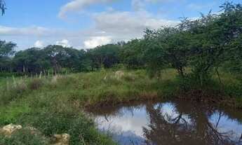 Imagem 2: Sitio em lagarto com 3 tarefa de terra