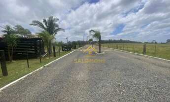 Imagem 7: Salomone vende área com 4 hectares dentro de condomínio perto da RS040