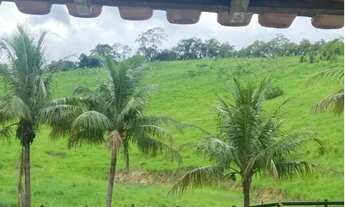 Imagem 6: Venda-se está propriedade de 5,5 (cinco alqueires e meio) no interior do Município de Mimo