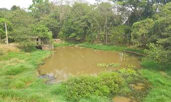 Imagem 7: Fazenda de Café Porteira Fechada Região de Ribeirão Preto SP