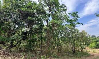 Imagem 4: Chácara 1000m², 300 metros da Rodovia, Energia, Arborizada, Dentro de Aragoiânia